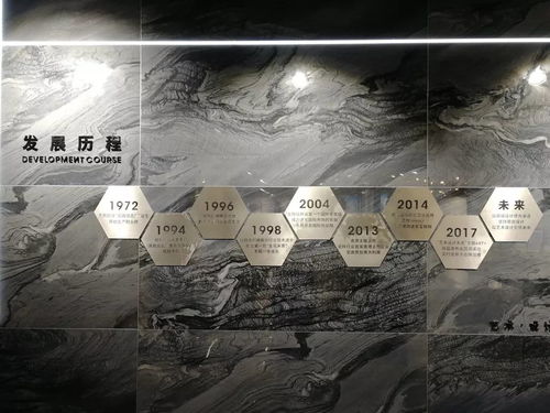 双鹏 佛山结盟 共铸金字招牌