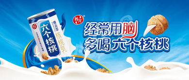 六个核桃饮料招商加盟代理 六个核桃代理价格 六个核桃代理商加盟
