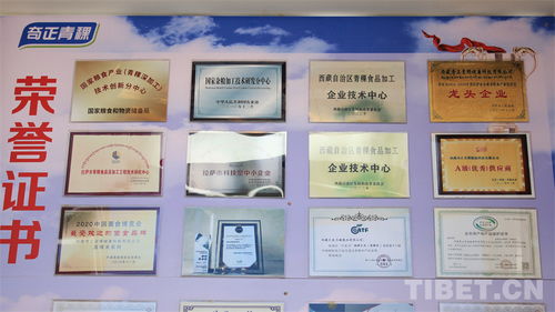 西藏奇正青稞 小 青稞大学问 重科技惠民生