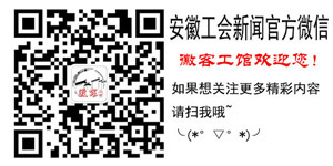 深耕“投资福地” 集聚发展动能