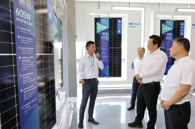 以项目建设为牵引加快转型升级提升发展质效——双鹏案例解析